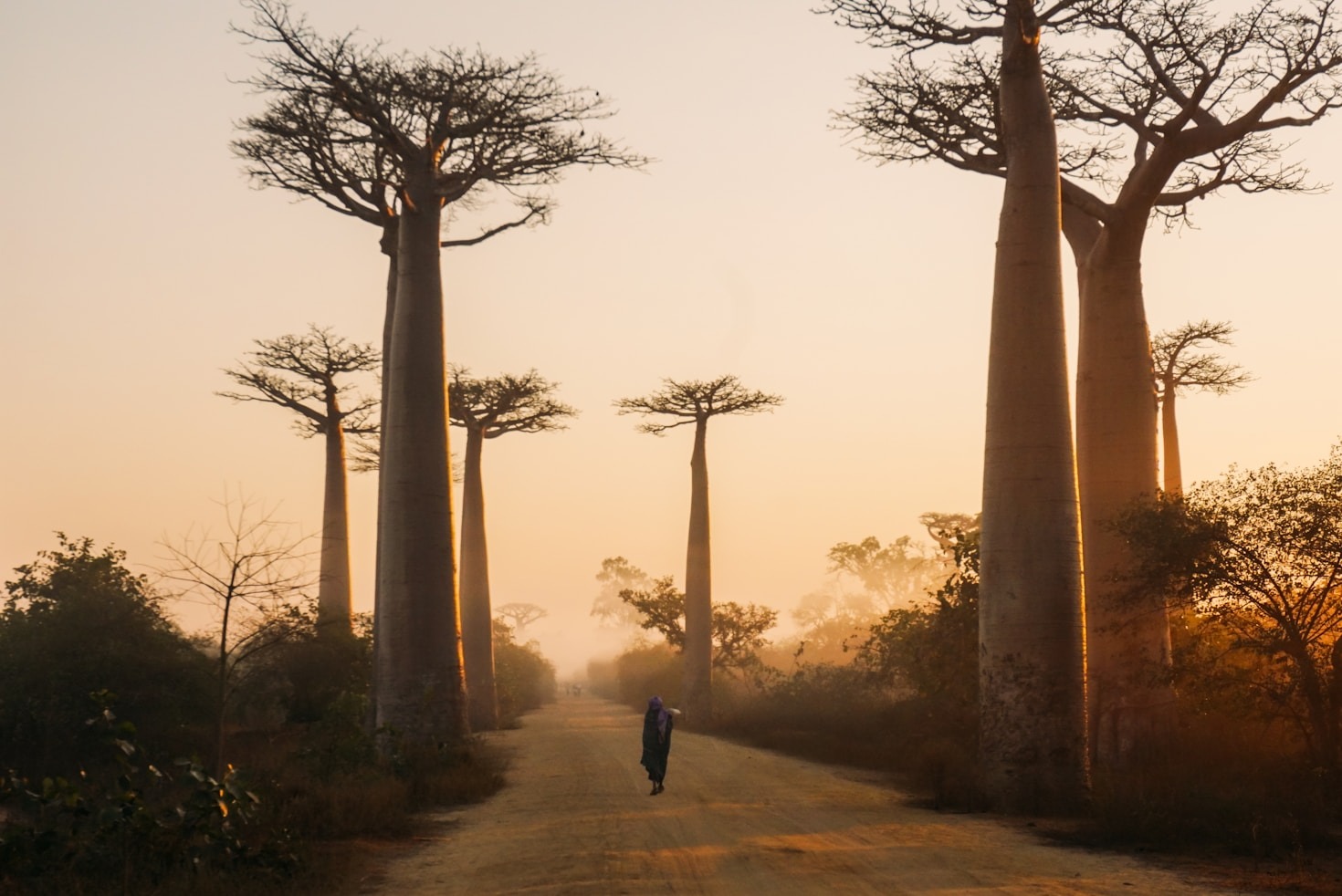 The Intersection of Heritage and Modernity in Africa
